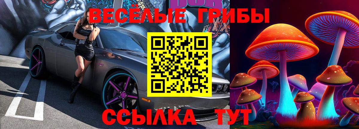 Галлюциногенные грибы Cubensis Семилуки